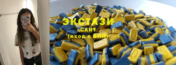 винт Инта